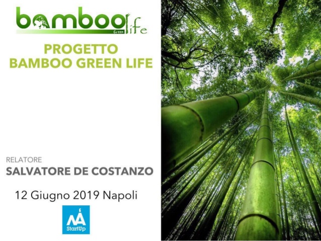 Bamboo green Life startup